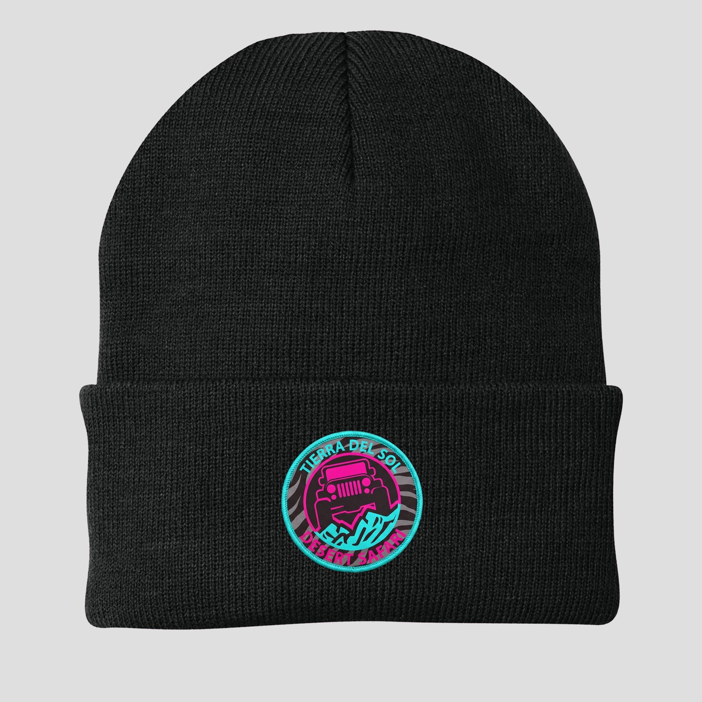 TDS Circle Beanie