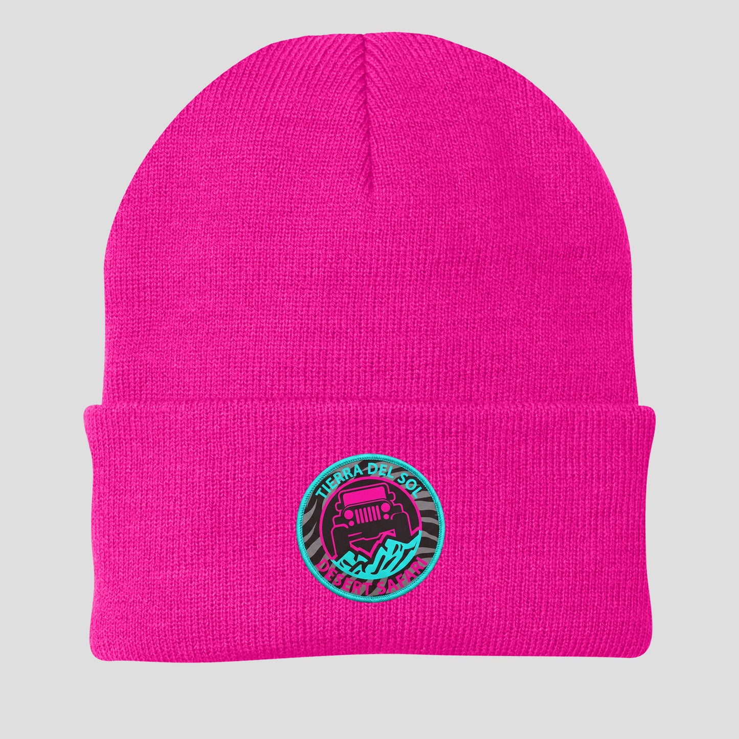 TDS Circle Beanie