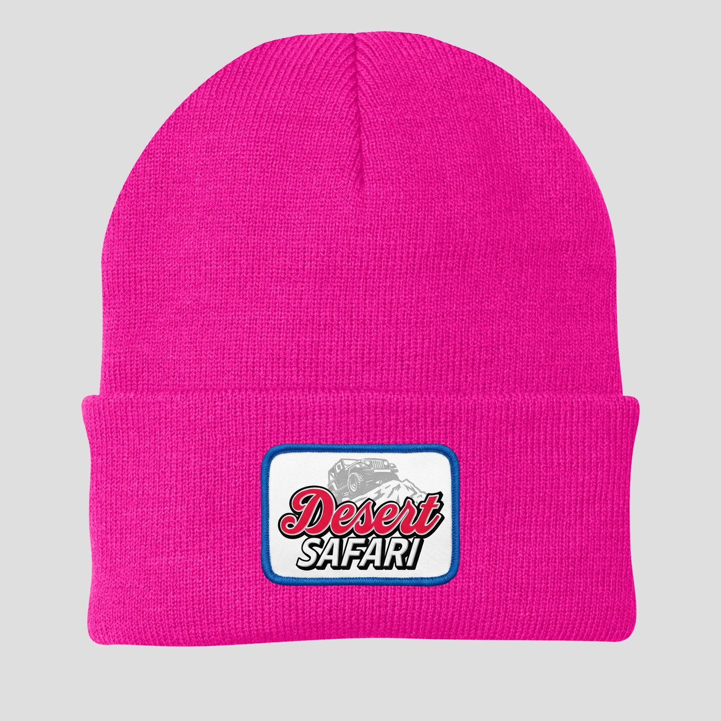 TDS Silver Bullet Beanies